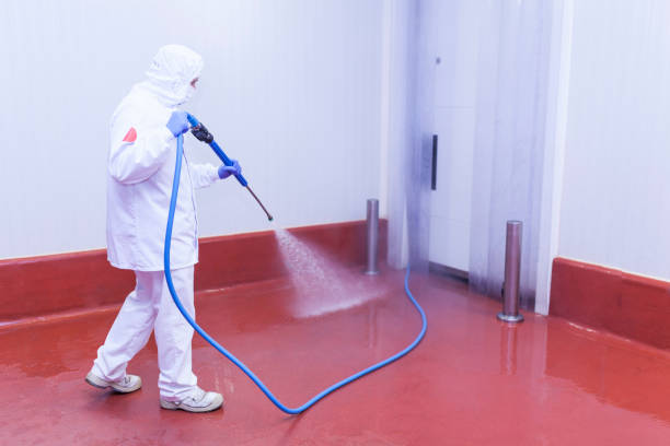 Best Warehouse Cleaning  in Huntertown, IN